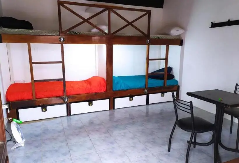 Vuode Makuusalissa, Hostel De La Plaza
