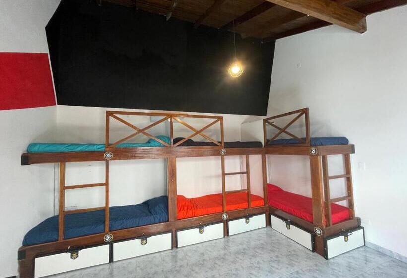 공동 객실, Hostel De La Plaza