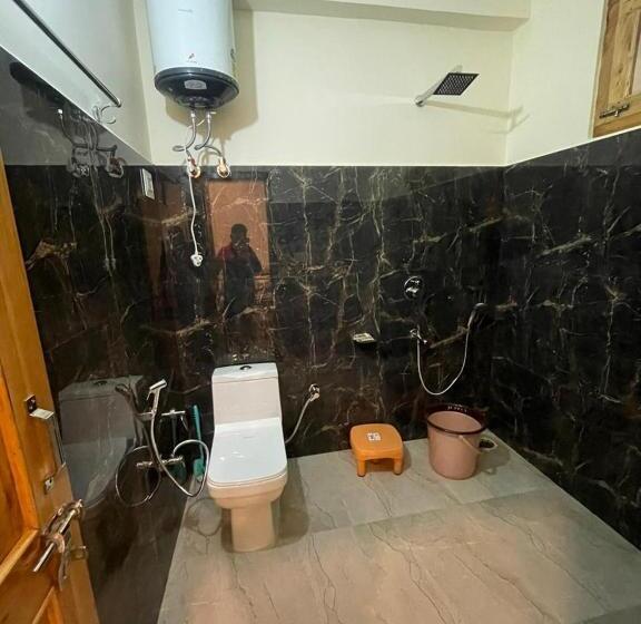 اتاق لوکس, Green Park Kasol