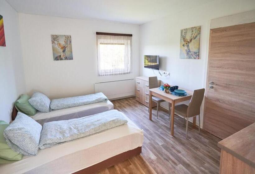 Студия Стандарт, Thermal Apartman   Em