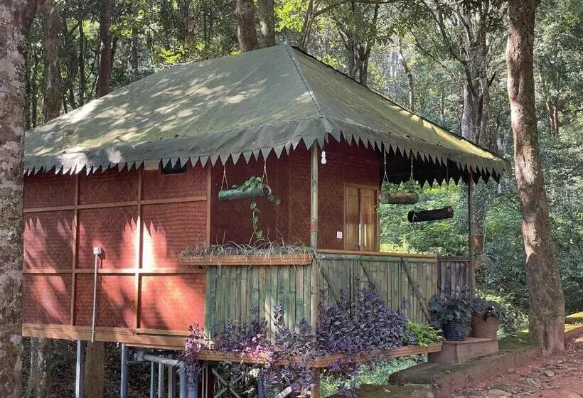 エコノミールーム, 900 Woods Wayanad Eco Resort   A Sprawling Jungle Stay Near Glass Bridge