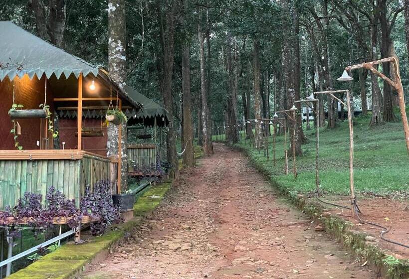 Номер Economy, 900 Woods Wayanad Eco Resort   A Sprawling Jungle Stay Near Glass Bridge