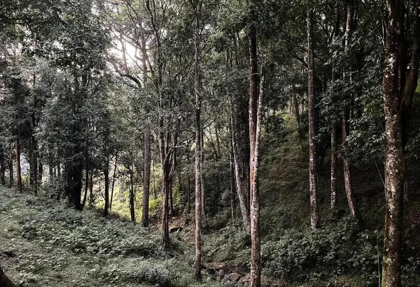 エコノミールーム, 900 Woods Wayanad Eco Resort   A Sprawling Jungle Stay Near Glass Bridge