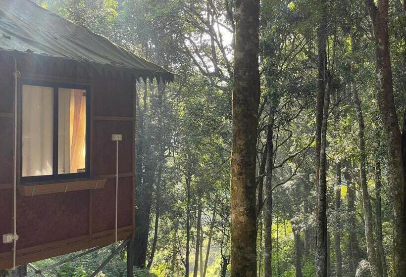 经济房, 900 Woods Wayanad Eco Resort   A Sprawling Jungle Stay Near Glass Bridge