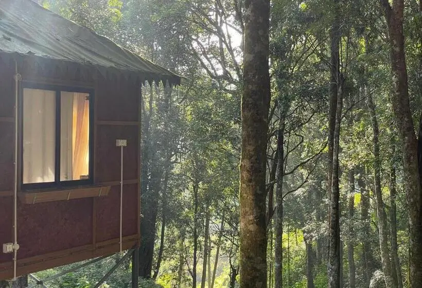 エコノミールーム, 900 Woods Wayanad Eco Resort   A Sprawling Jungle Stay Near Glass Bridge