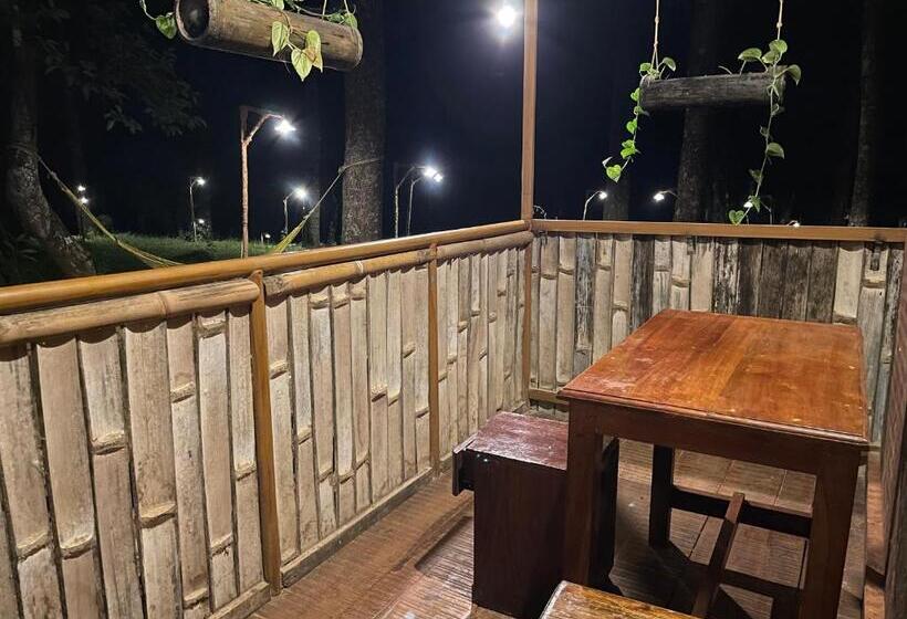 经济房, 900 Woods Wayanad Eco Resort   A Sprawling Jungle Stay Near Glass Bridge