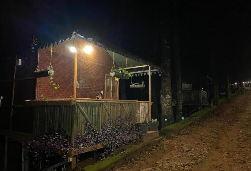 经济房, 900 Woods Wayanad Eco Resort   A Sprawling Jungle Stay Near Glass Bridge