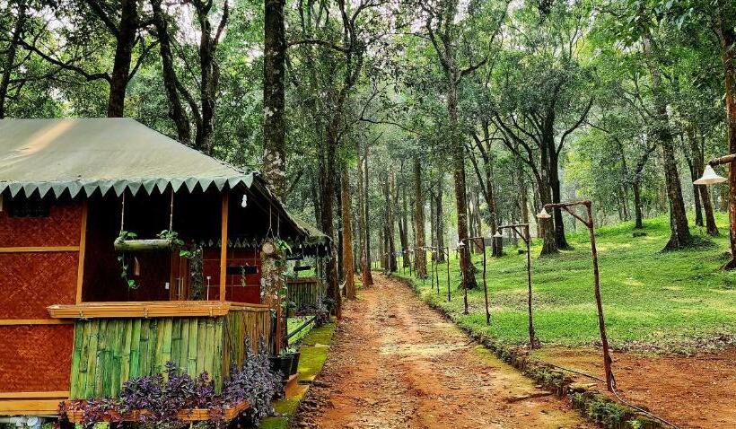 经济房, 900 Woods Wayanad Eco Resort   A Sprawling Jungle Stay Near Glass Bridge