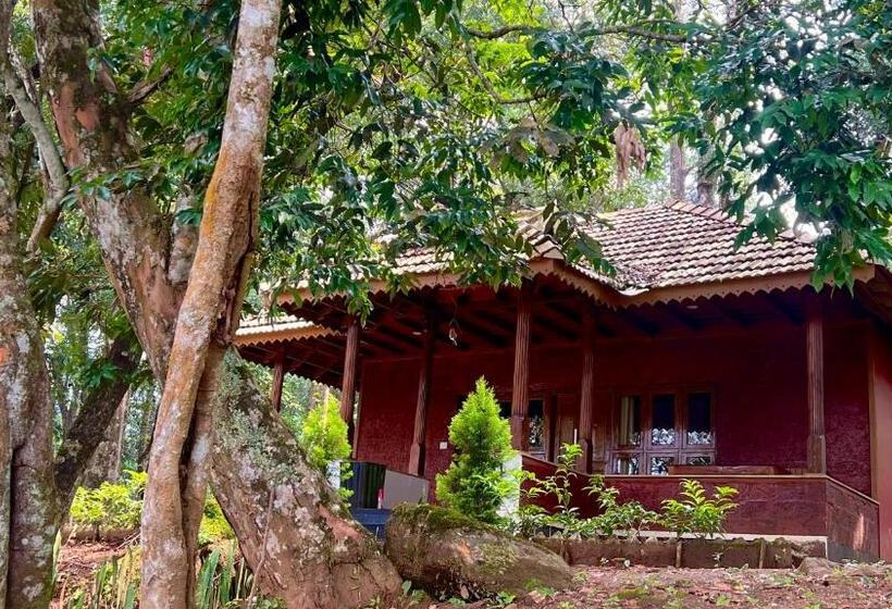 高级大房间, 900 Woods Wayanad Eco Resort   A Sprawling Jungle Stay Near Glass Bridge