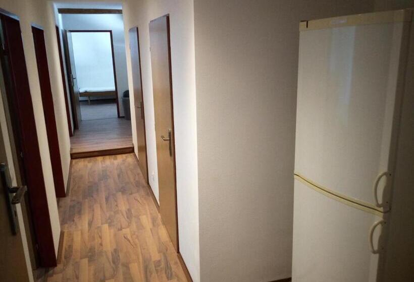 Номер Economy, černá Kočka  Low Cost Ubytování