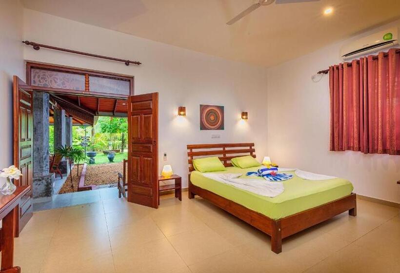 Стандартный Номер Кровать Кинг, Amandro Resort