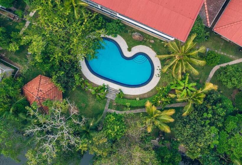 Стандартный Номер Кровать Кинг, Amandro Resort