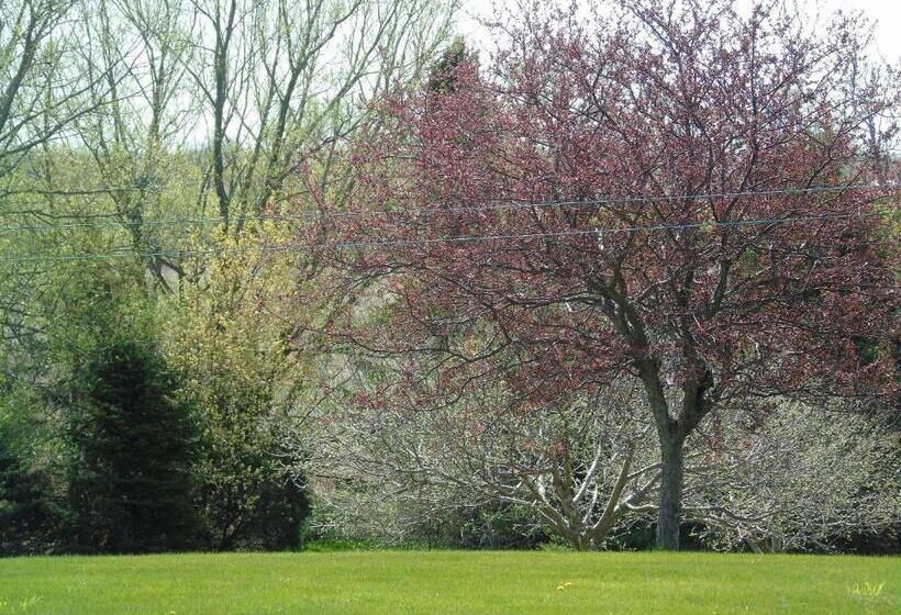 行政套房, Runaway Bay Guest House