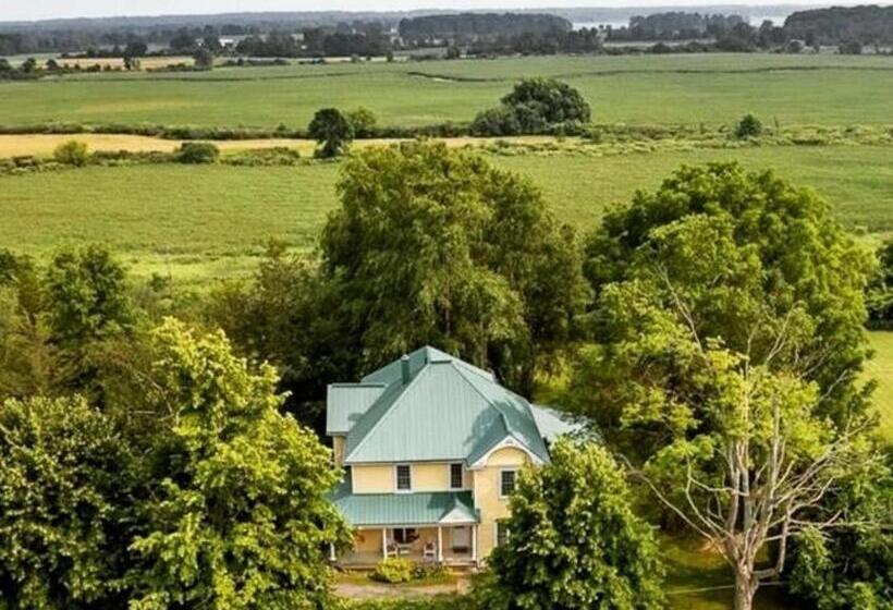 豪华套房, Runaway Bay Guest House