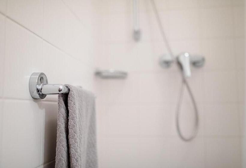 شقة غرفة واحدة, Zimmer Graz