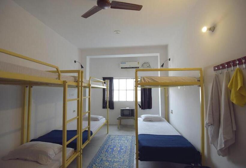 ルームシェアのワンベッド, Chalo Eco Hostel