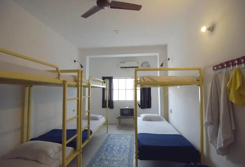 Vuode Makuusalissa, Chalo Eco Hostel