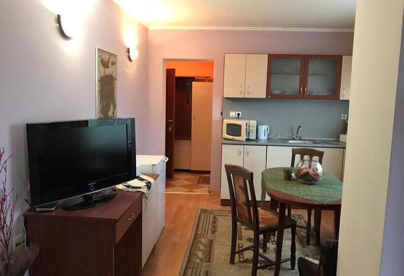 דירת חדר עם טרסה, Triumph