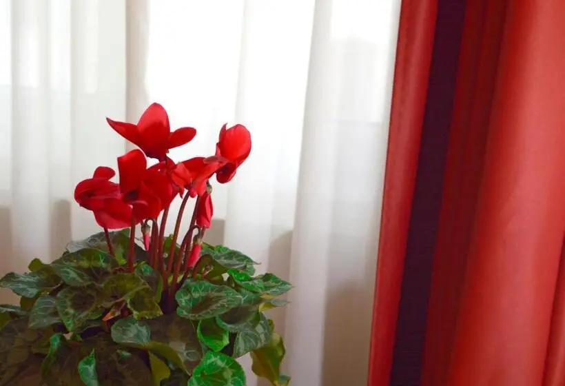 اتاق استاندارد یک نفره, Camere Delfini