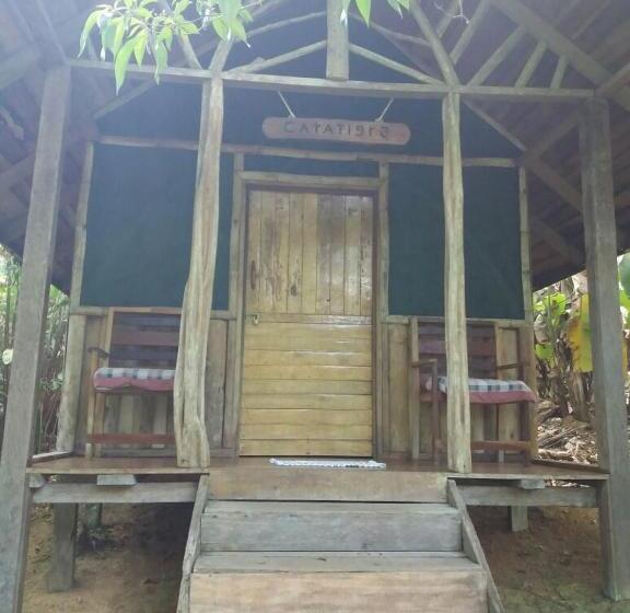 اتاق استاندارد, El Chontal