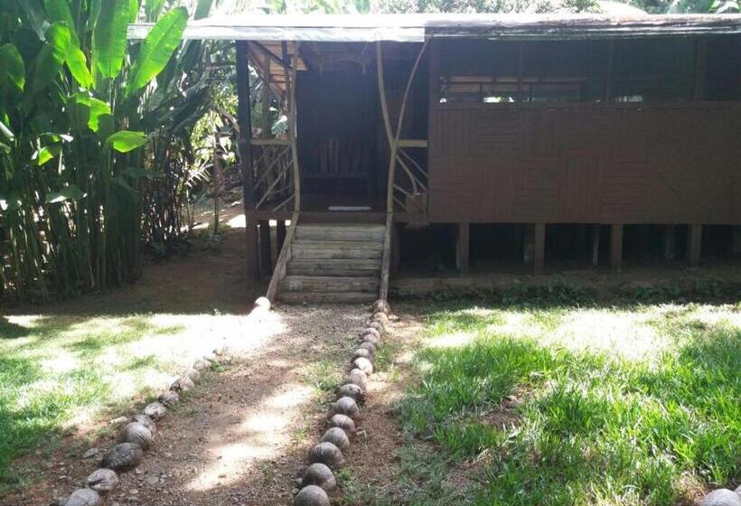 اتاق استاندارد چهار تخته, El Chontal