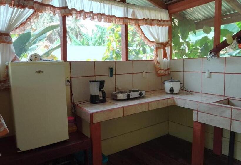 اتاق استاندارد چهار تخته, El Chontal