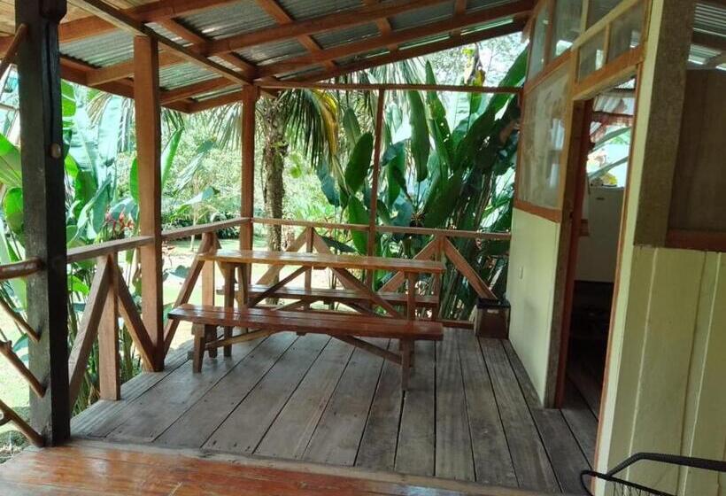 اتاق استاندارد چهار تخته, El Chontal