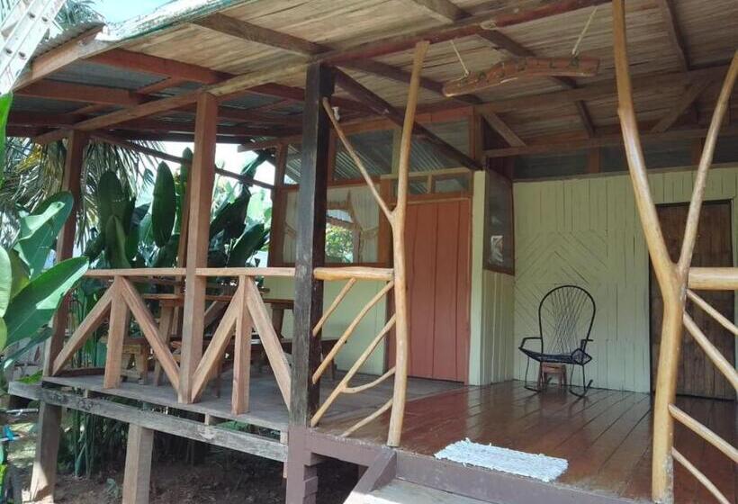 اتاق استاندارد چهار تخته, El Chontal