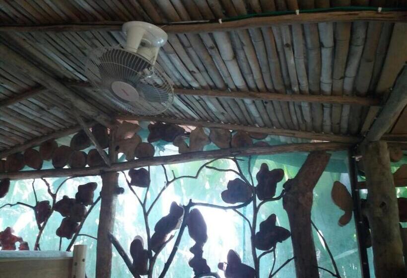 اتاق خانوادگی, El Chontal