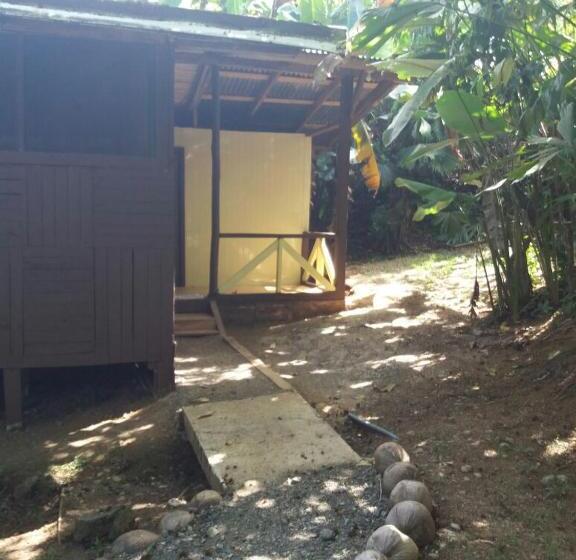 اتاق استاندارد چهار تخته, El Chontal