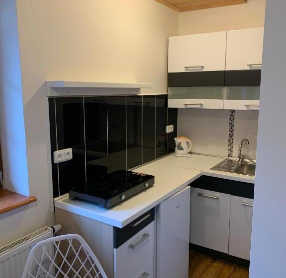 חדר סטנדרט, Penzion U Orla