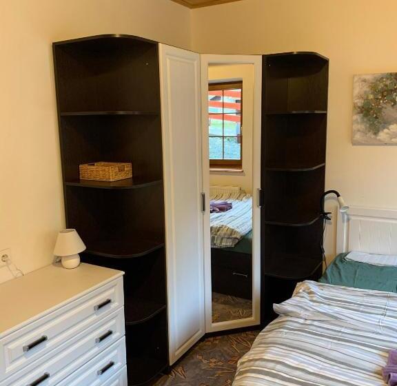 חדר סטנדרט, Penzion U Orla