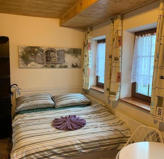 חדר סטנדרט, Penzion U Orla