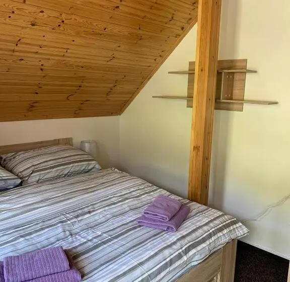 Deluxe-huone Parveke, Penzion U Orla