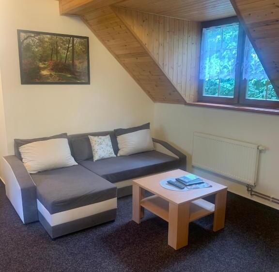 דירת שני חדרים, Penzion U Orla