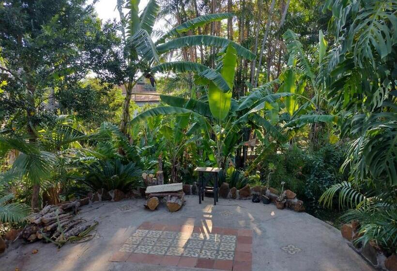 جناح مطلّ علي الحديقة, Suítes Brotas City