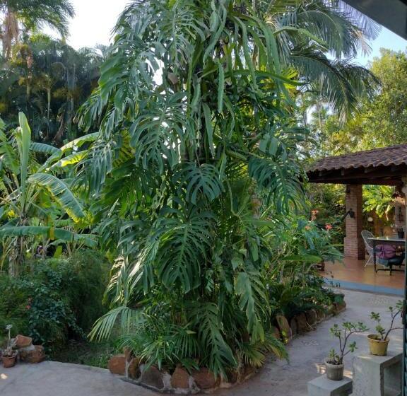 جناح مطلّ علي الحديقة, Suítes Brotas City