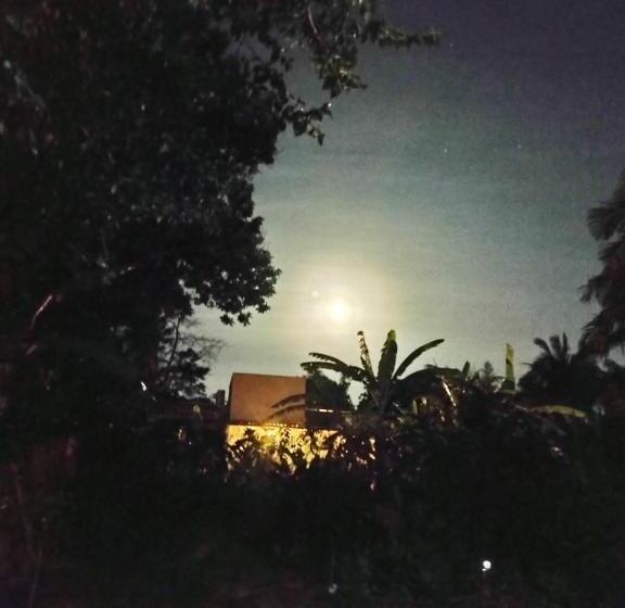 إستديو قياسى مزود بشرفة, Suítes Brotas City