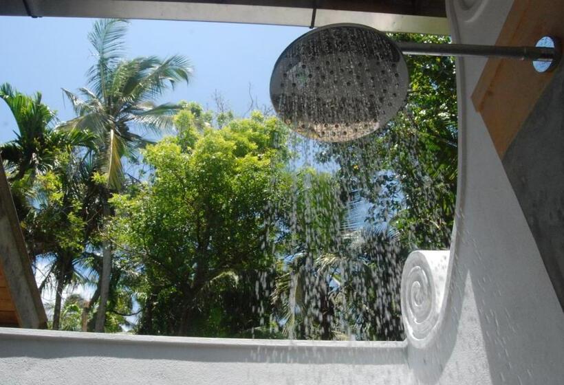 带大床的标准间, The Saffron House