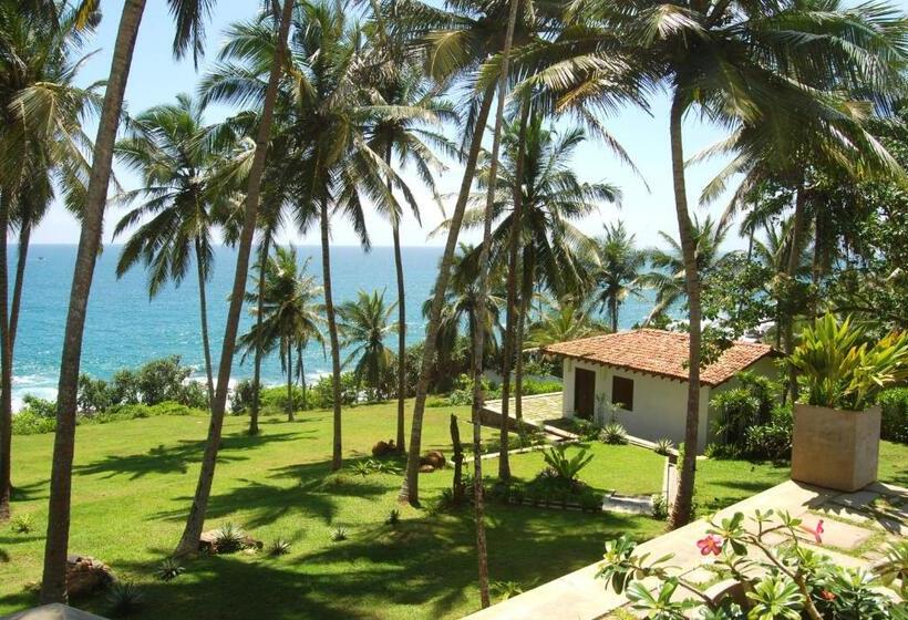 带大床的标准间, The Saffron House