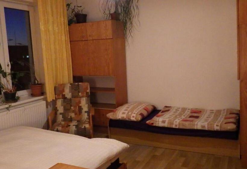 Люкс, Ubytování U Dolanských