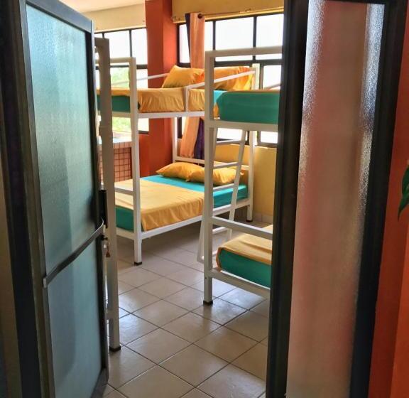 共用房间的床, Sandy Toes Hostel