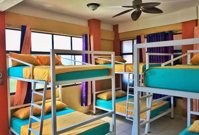 Vuode Makuusalissa, Sandy Toes Hostel