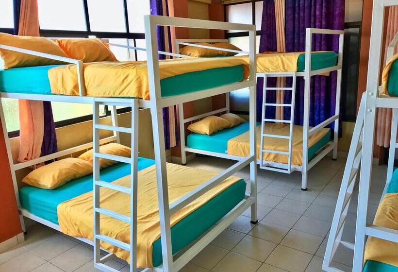 共用房间的床, Sandy Toes Hostel