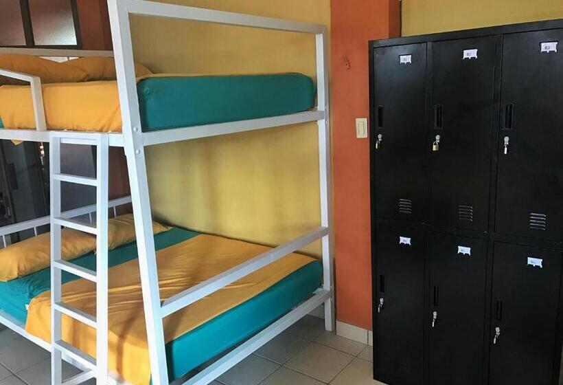 共用房间的床, Sandy Toes Hostel