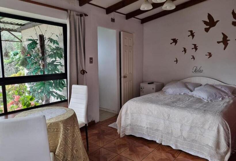 سوییت خانوادگی, Posada Verde Natura