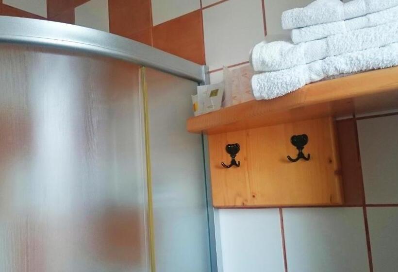 חדר סטנדרט עם מרפסת, Pensiunea Panoramic