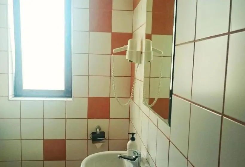Standard-huone Parveke, Pensiunea Panoramic