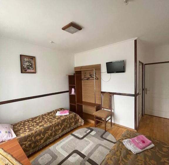 غرفة قياسية, Beregynia