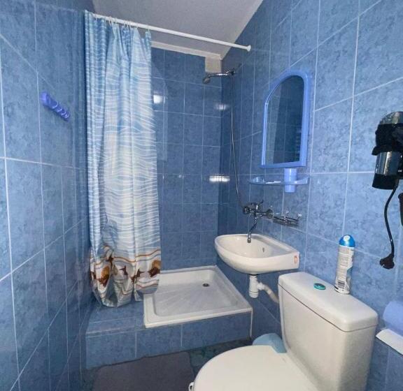 غرفة كلاسيكية ثلاثية, Beregynia